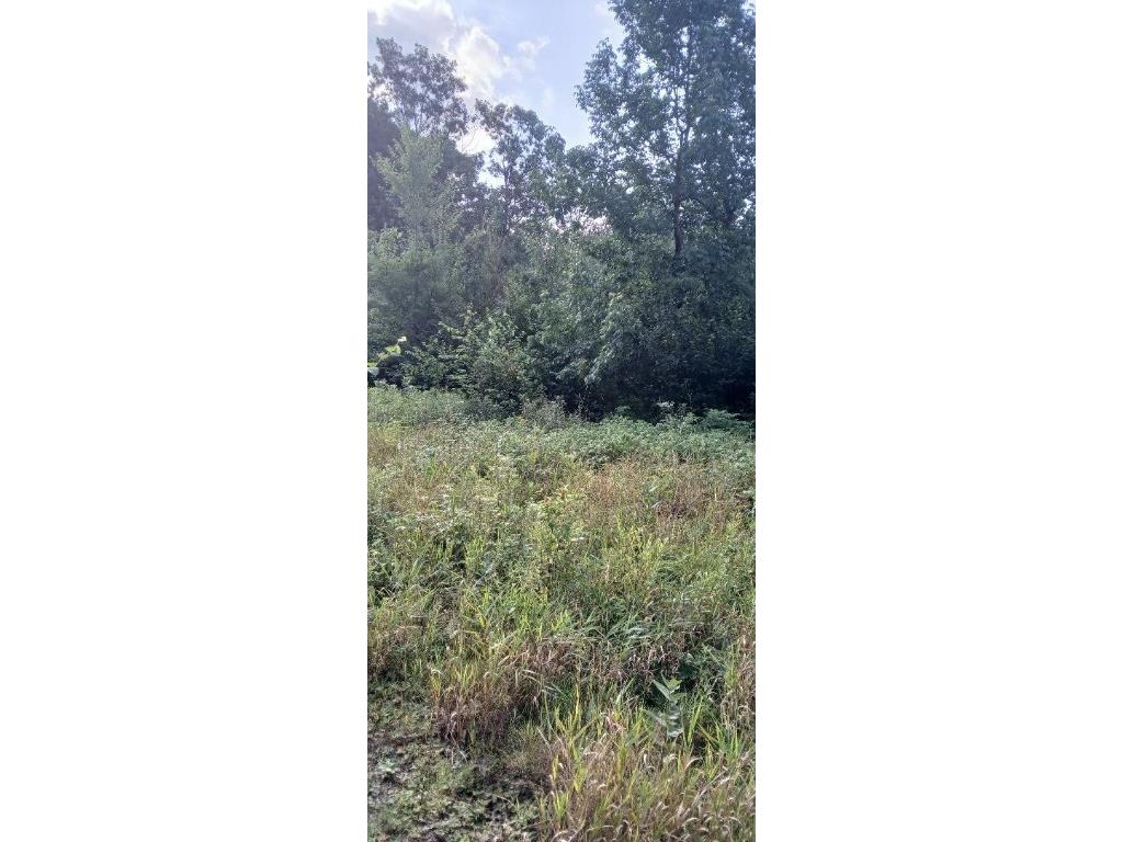 10 Ac River Rd. Boyd WI 54726 1594681 image5