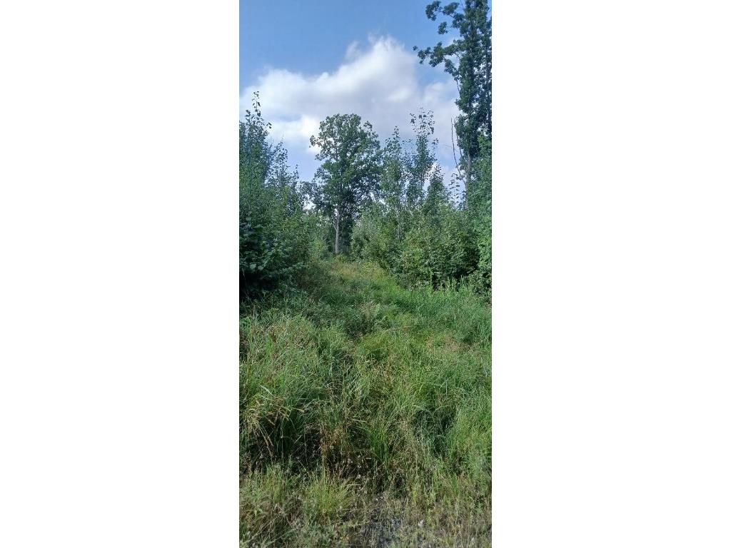 10 Ac River Rd. Boyd WI 54726 1594681 image6