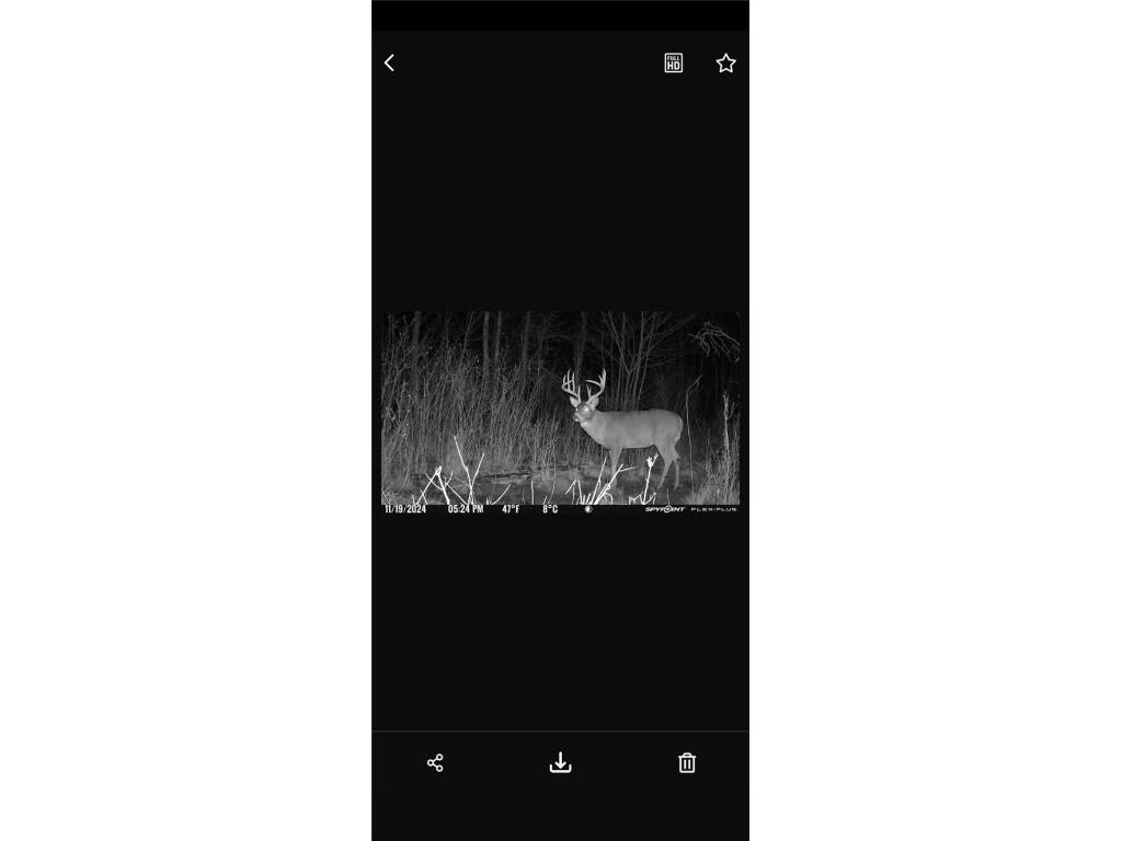 10 Ac River Rd. Boyd WI 54726 1594681 image7