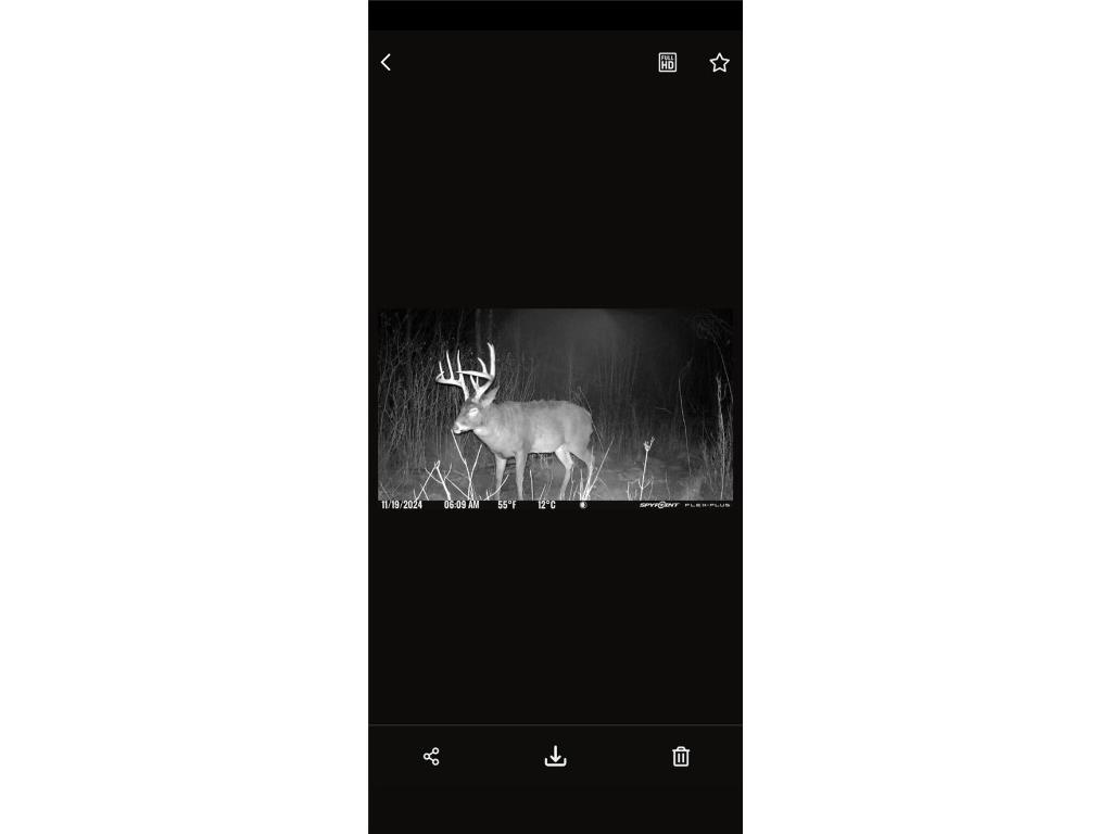 10 Ac River Rd. Boyd WI 54726 1594681 image8