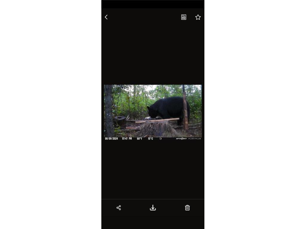 10 Ac River Rd. Boyd WI 54726 1594681 image9