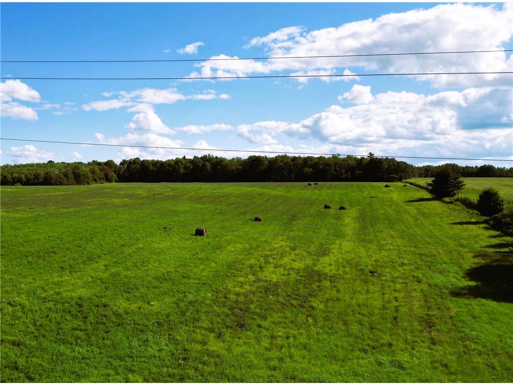 10 Acres 235th Ave. Bloomer WI 54724 1595030 image1