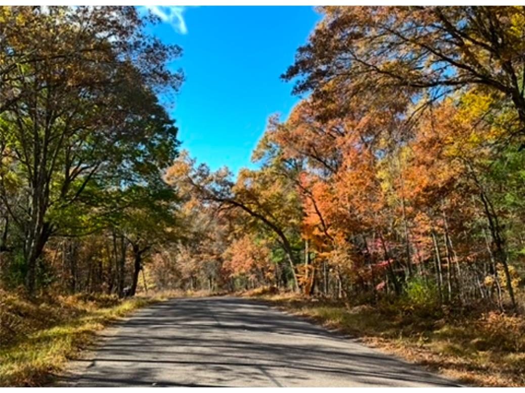 10+/- Acres Lot 10 295th Avenue Holcombe WI 54745 1587887 image1