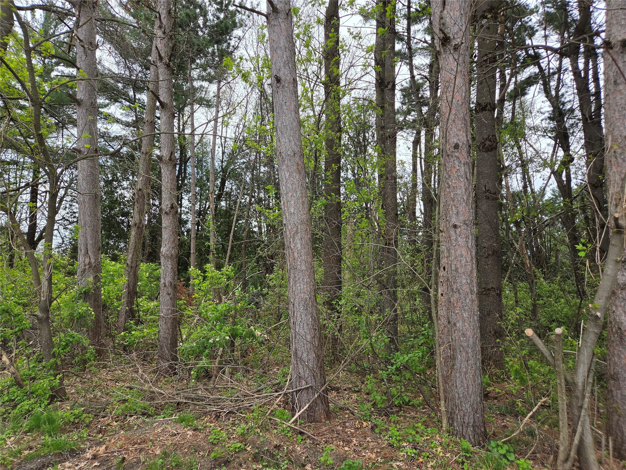 100 Locust Drive Hixton WI 54635 1600791 image36