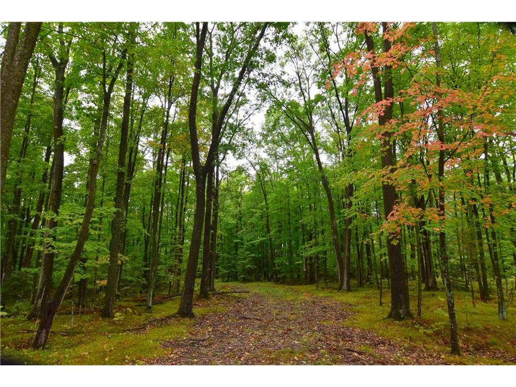 10030 W Morgans River Lane Exeland WI 54835 - Chippewa 1576645 image1