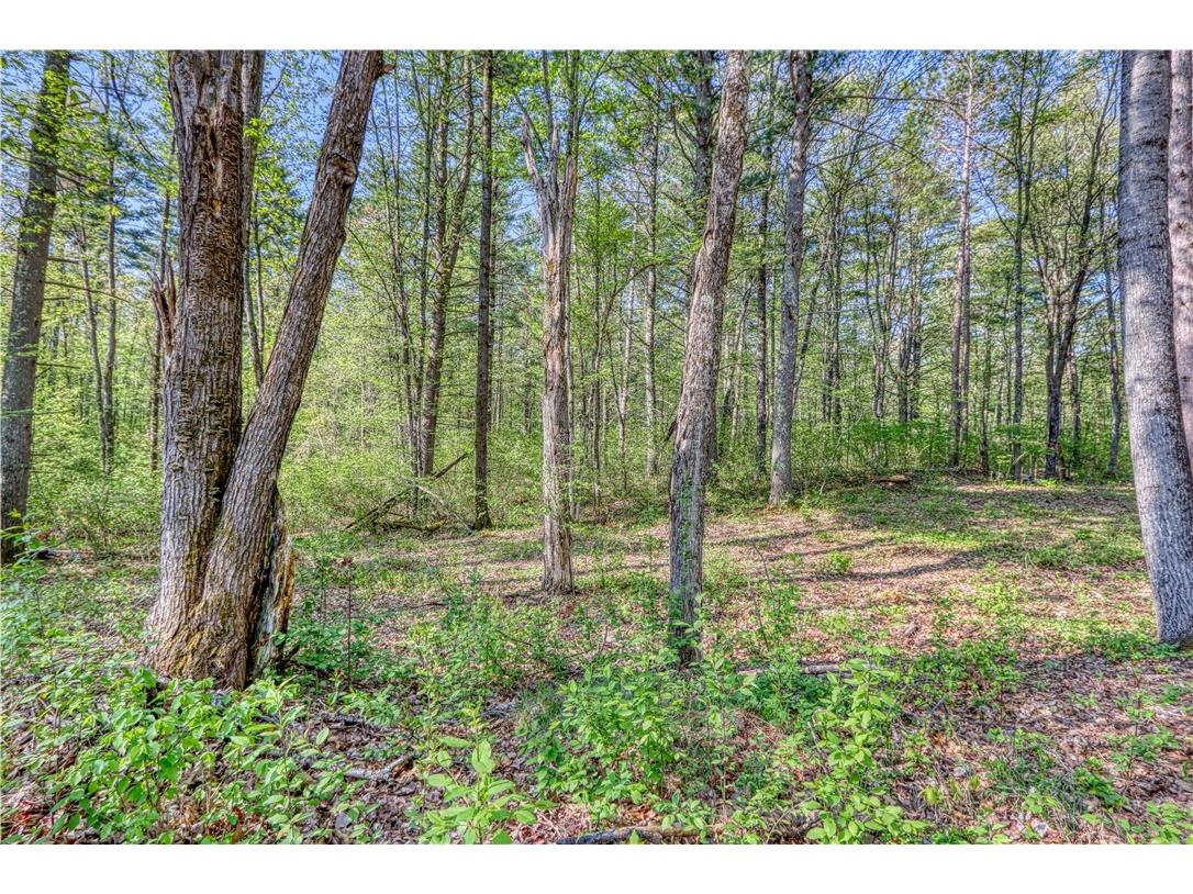 10148 N Mcclaine Road Hayward WI 54843 1591659 image4