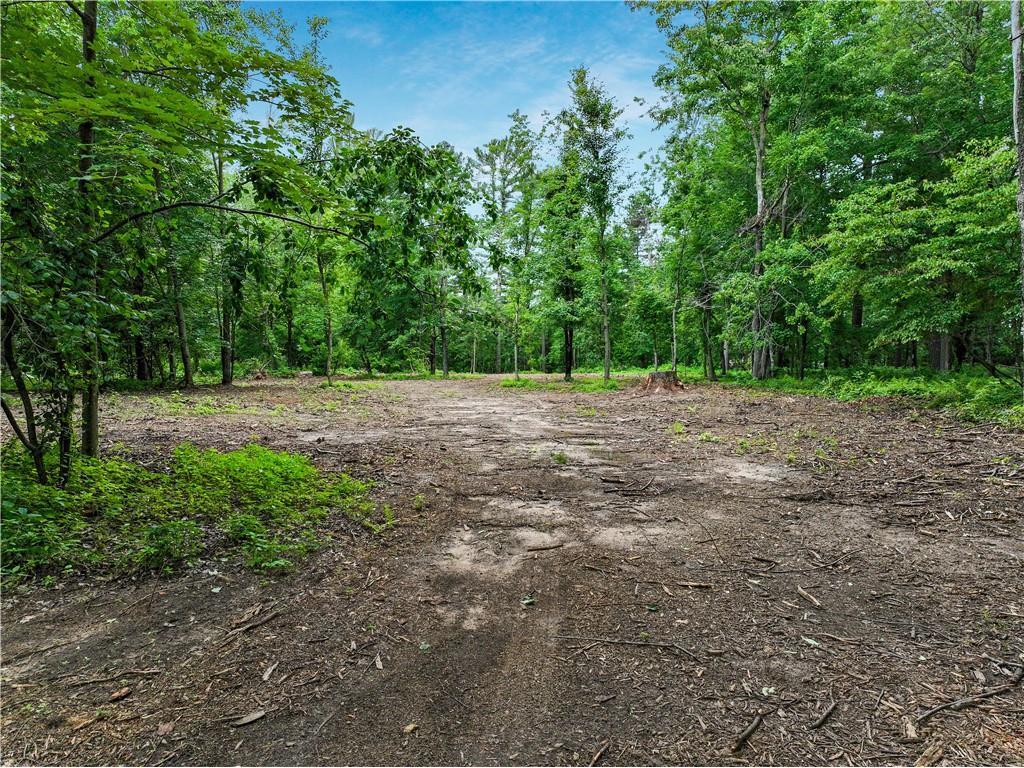 10208 124th Street Chippewa Falls WI 54729 - Tilden Mill Pond 1577175 image1