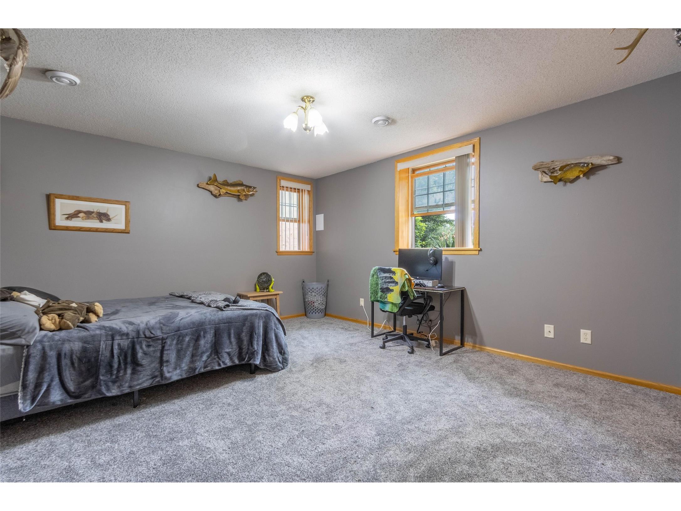 10231 Pine Rd Fall Creek WI 54742 1602035 image15