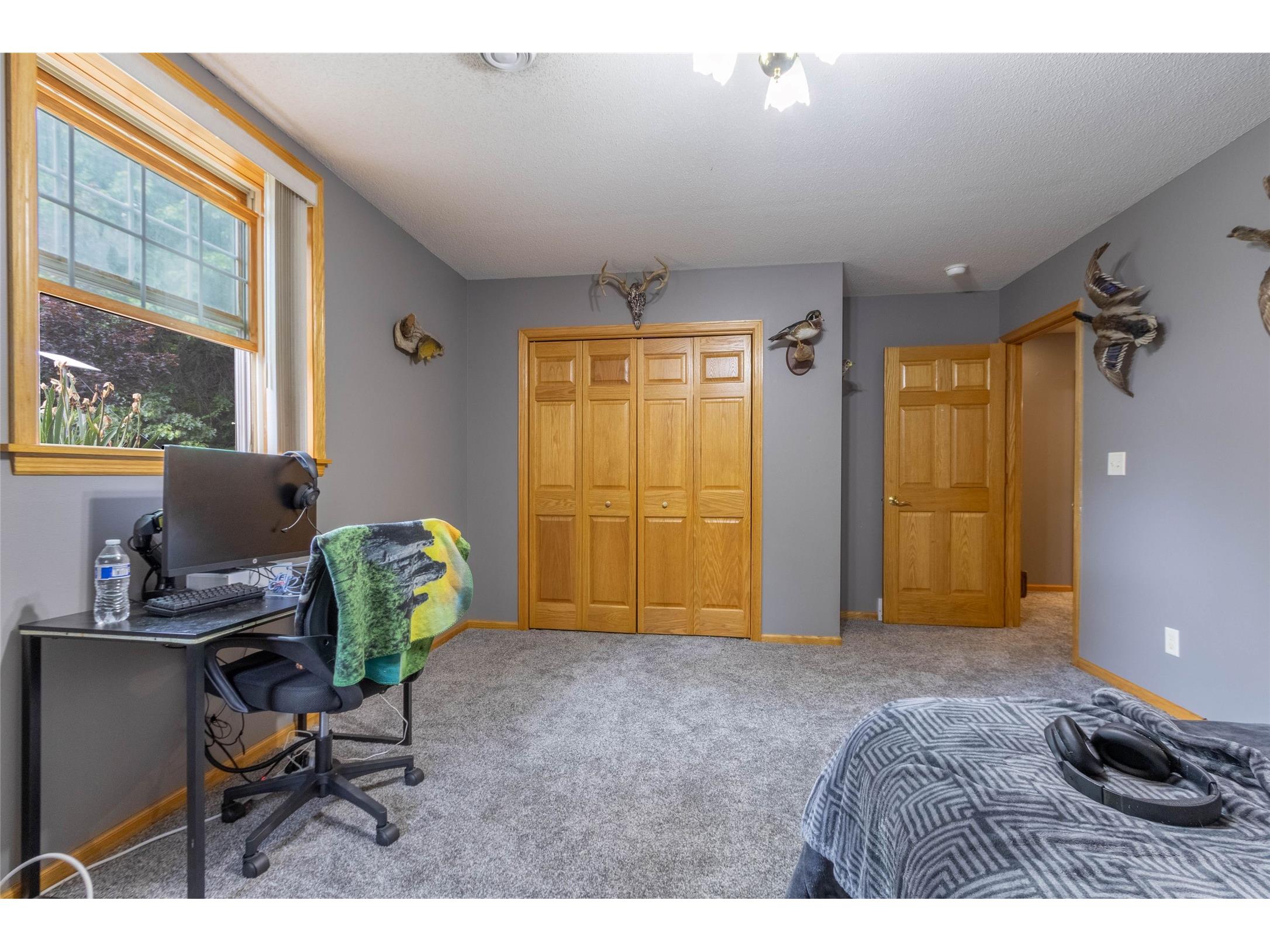 10231 Pine Rd Fall Creek WI 54742 1602035 image16