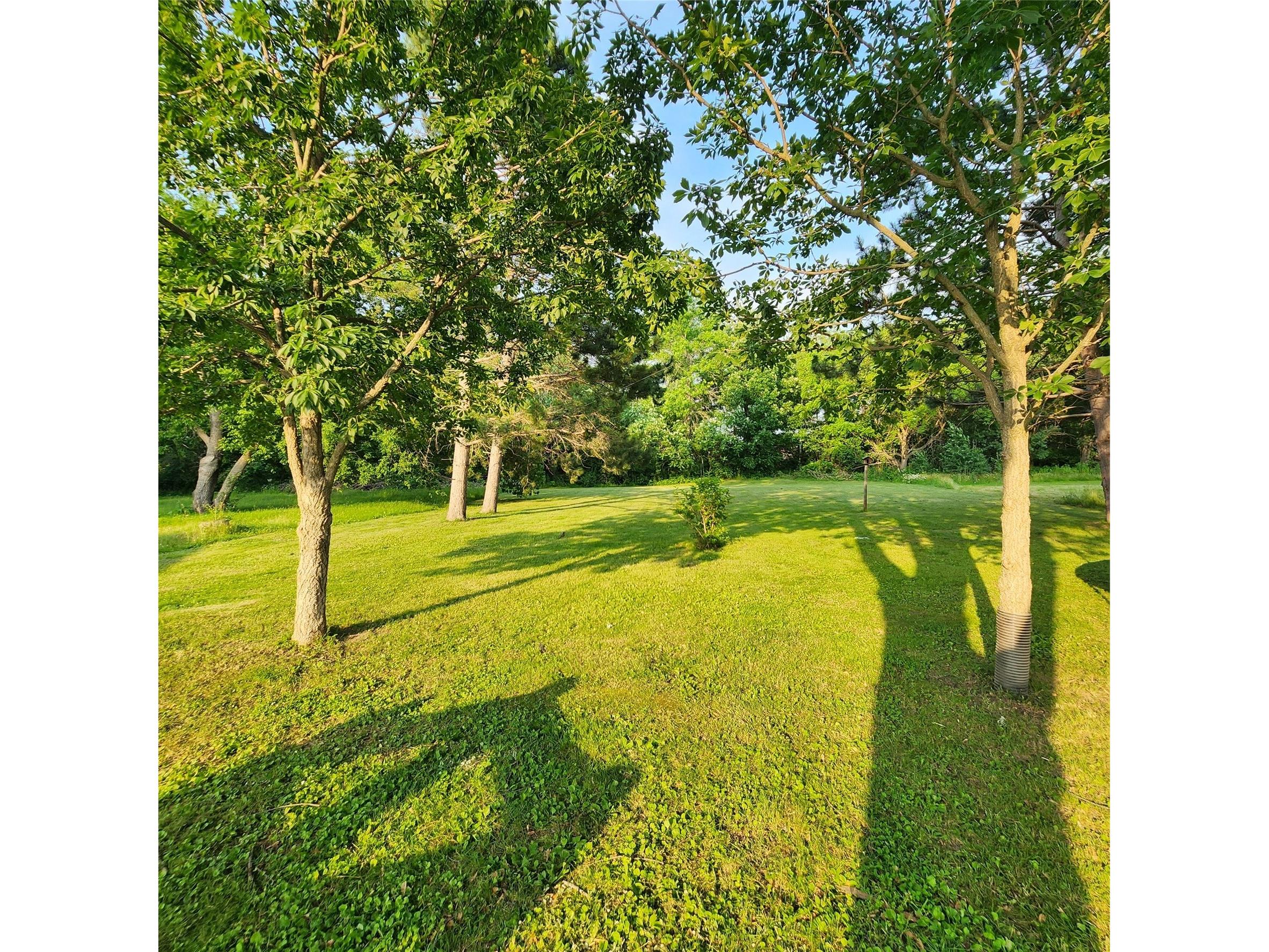 1031 Nunn Avenue Rice Lake WI 54868 1602751 image21