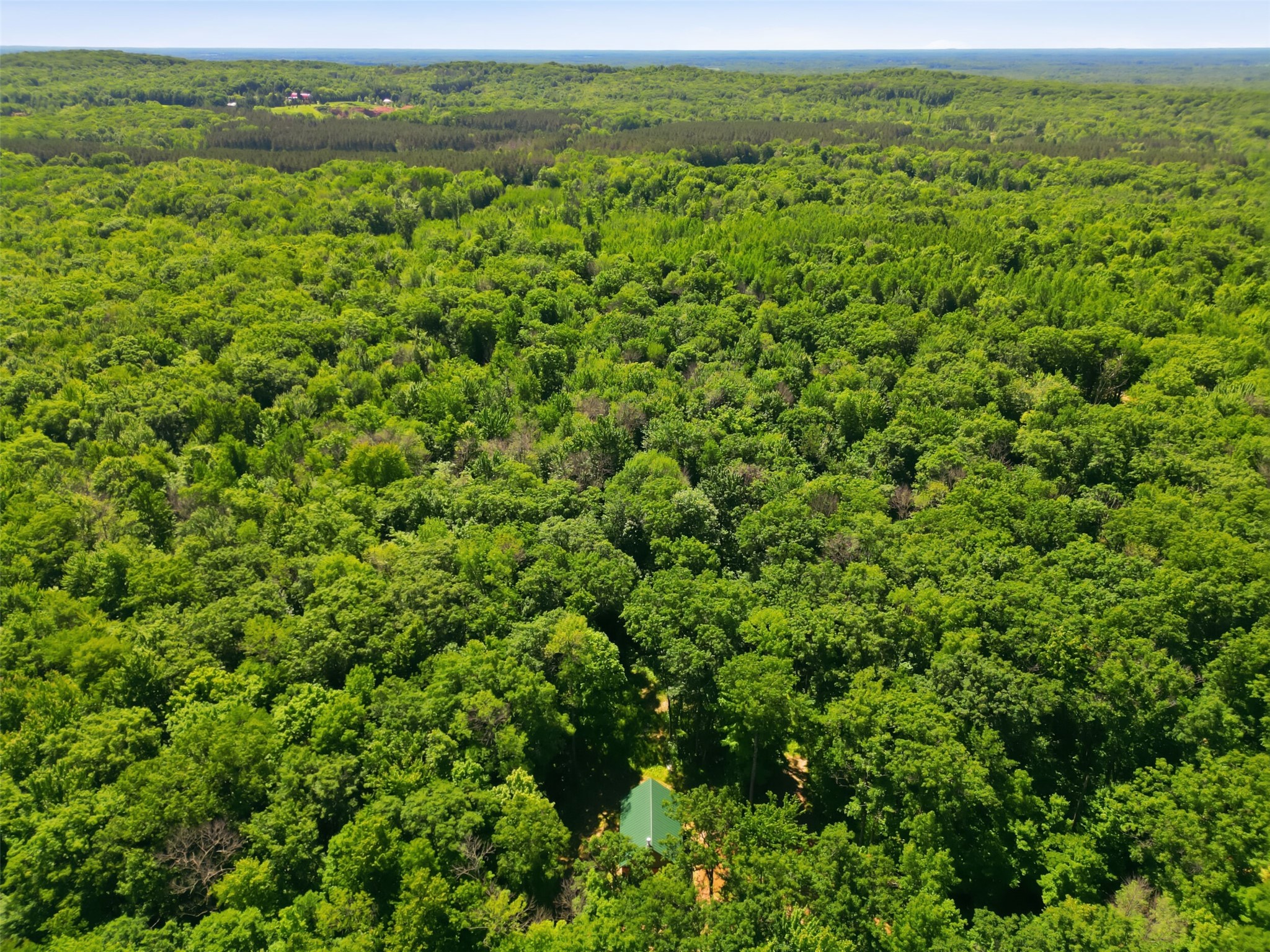 10384 Cary Rock Drive Marshfield WI 54449 1602507 image39