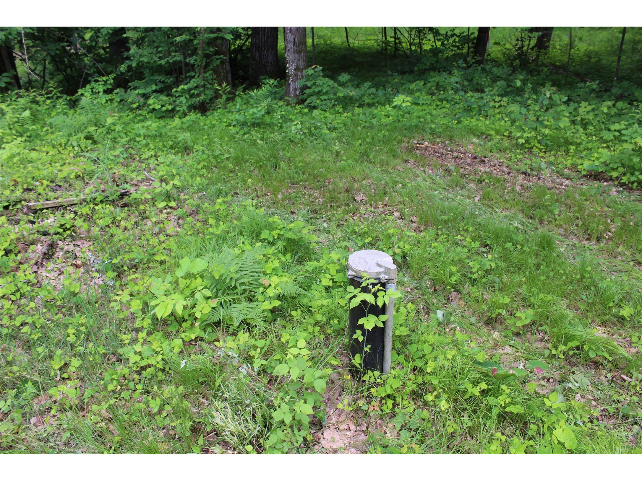10384 Cary Rock Drive Marshfield WI 54449 1602507 image40