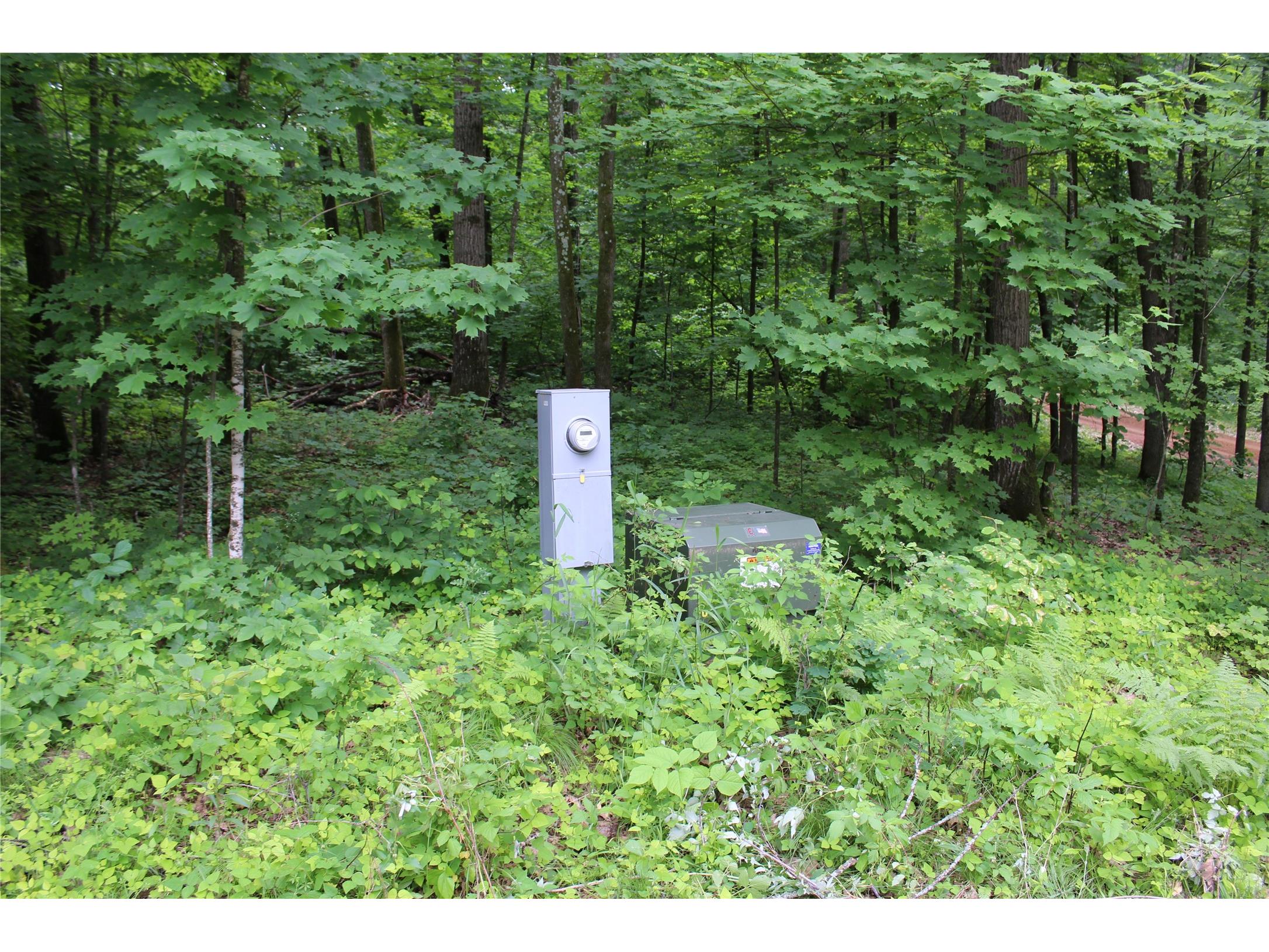 10384 Cary Rock Drive Marshfield WI 54449 1602507 image42