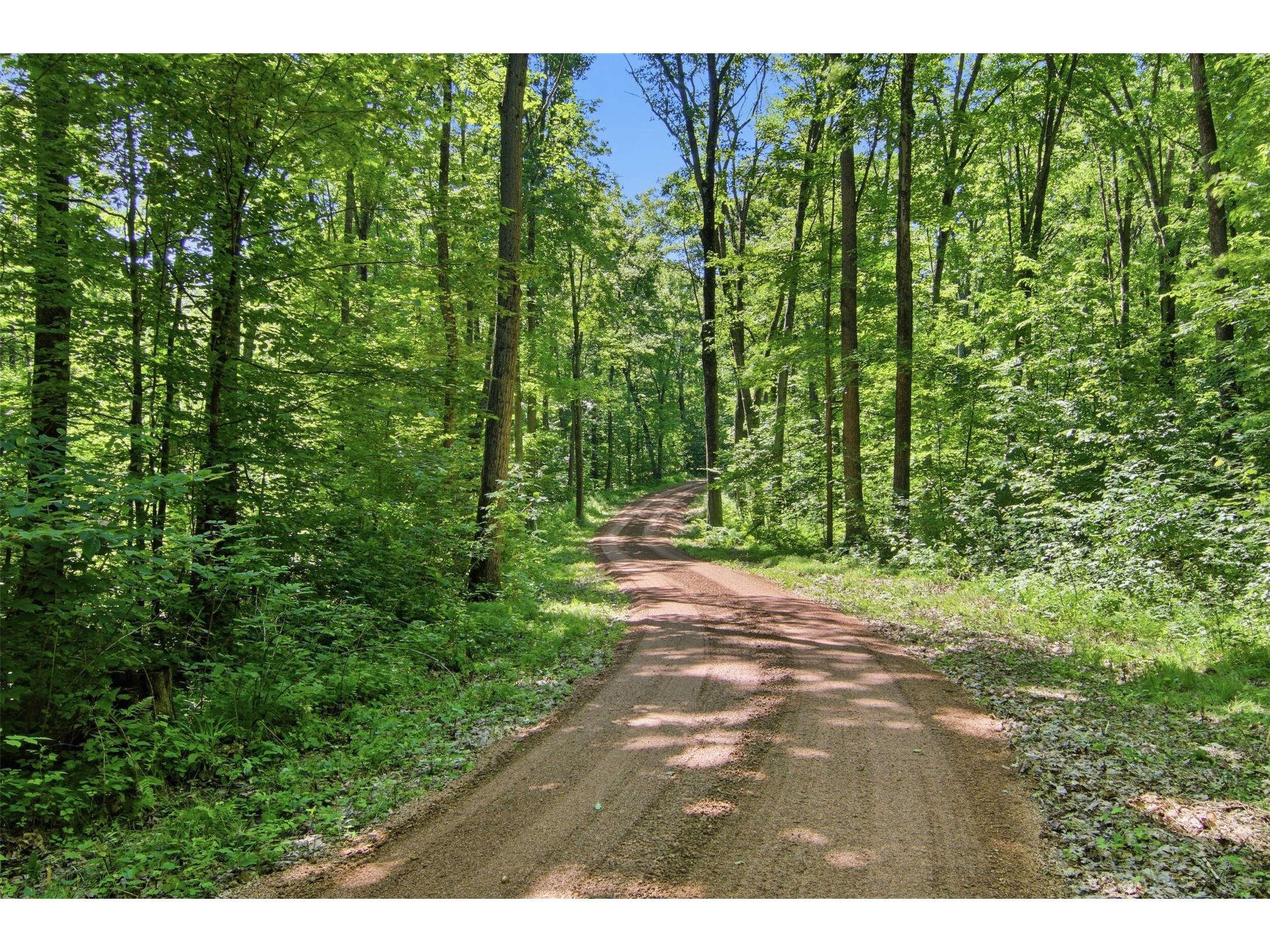 10384 Cary Rock Drive Marshfield WI 54449 1602507 image43