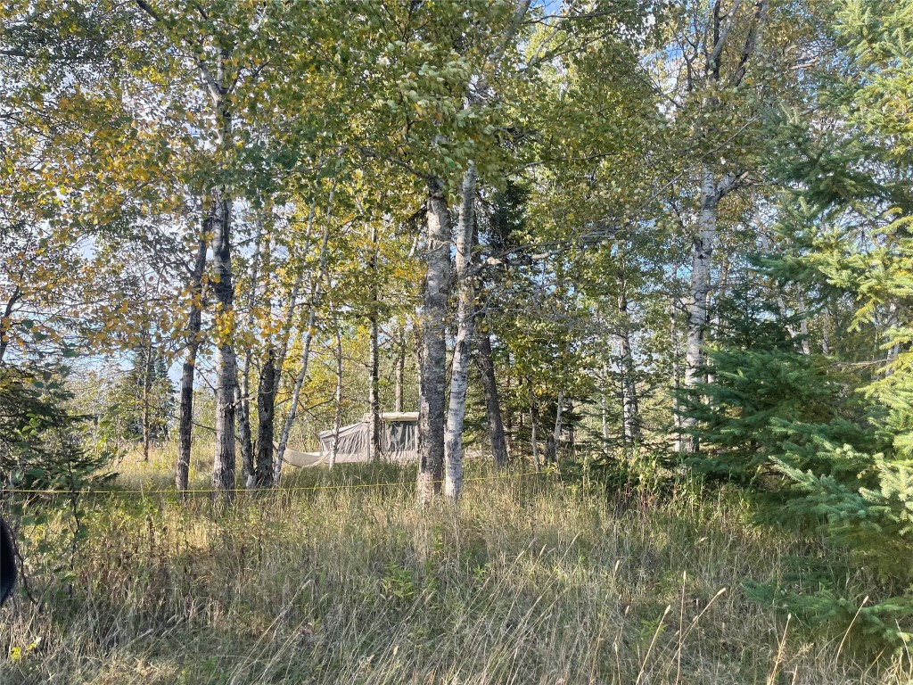 10427 E Devries Road Poplar WI 54864 - Lake Superior 1599941 image10