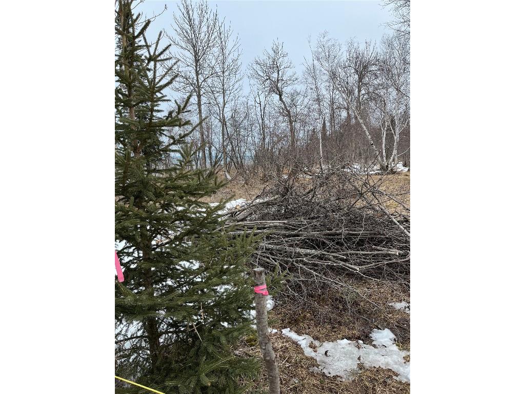 10427 E Devries Road Poplar WI 54864 - Lake Superior 1599941 image15