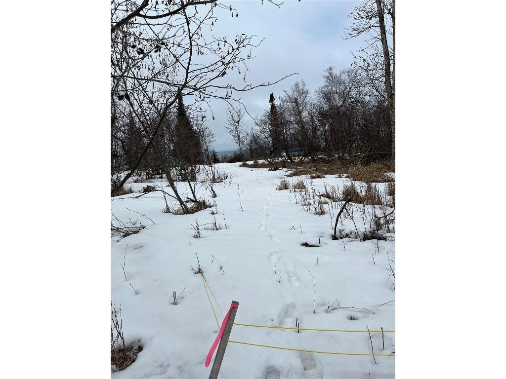 10427 E Devries Road Poplar WI 54864 - Lake Superior 1599941 image18