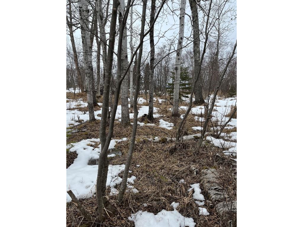 10427 E Devries Road Poplar WI 54864 - Lake Superior 1599941 image19