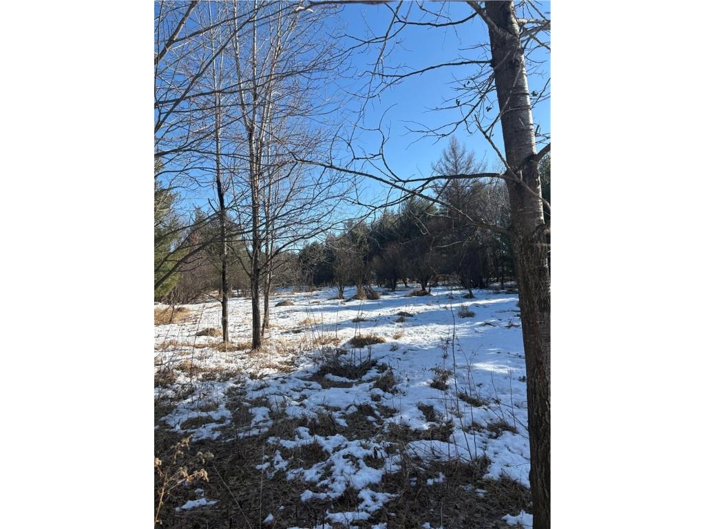 10470 W Walkers Road Humbird WI 54746 1597912 image1