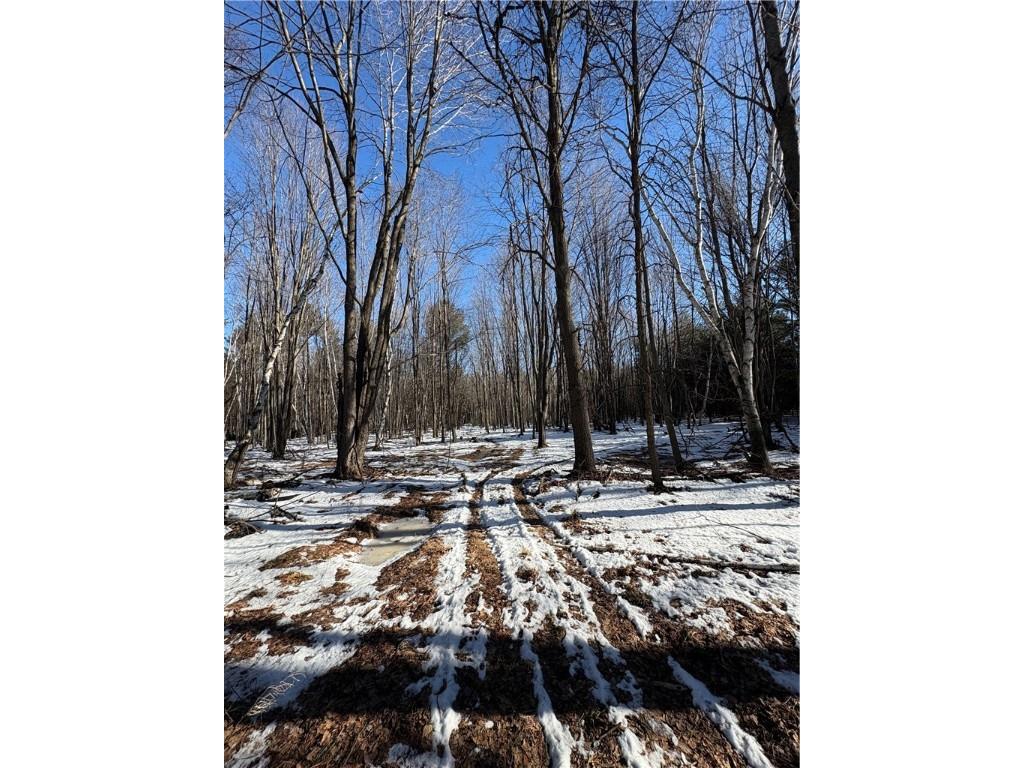 10470 W Walkers Road Humbird WI 54746 1597912 image10