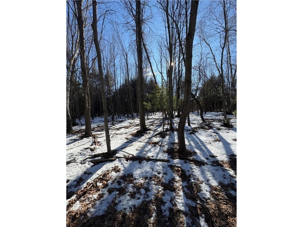 10470 W Walkers Road Humbird WI 54746 1597912 image11