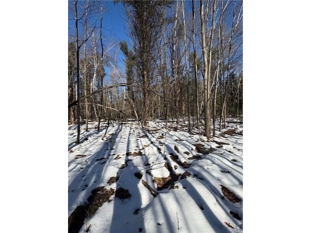 10470 W Walkers Road Humbird WI 54746 1597912 image12