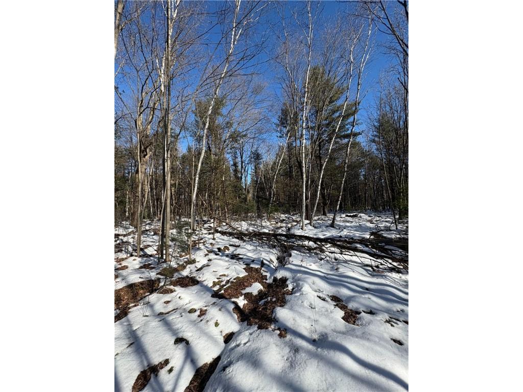 10470 W Walkers Road Humbird WI 54746 1597912 image13