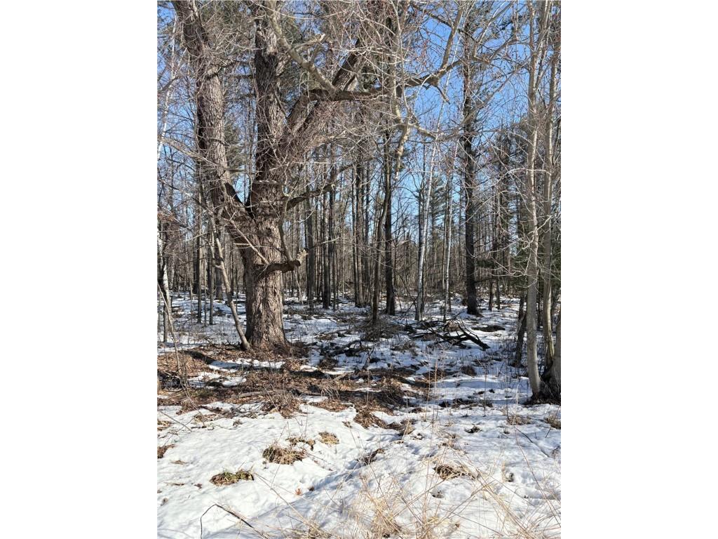 10470 W Walkers Road Humbird WI 54746 1597912 image14