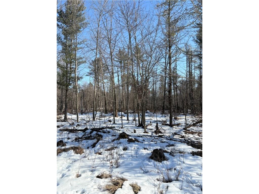 10470 W Walkers Road Humbird WI 54746 1597912 image15