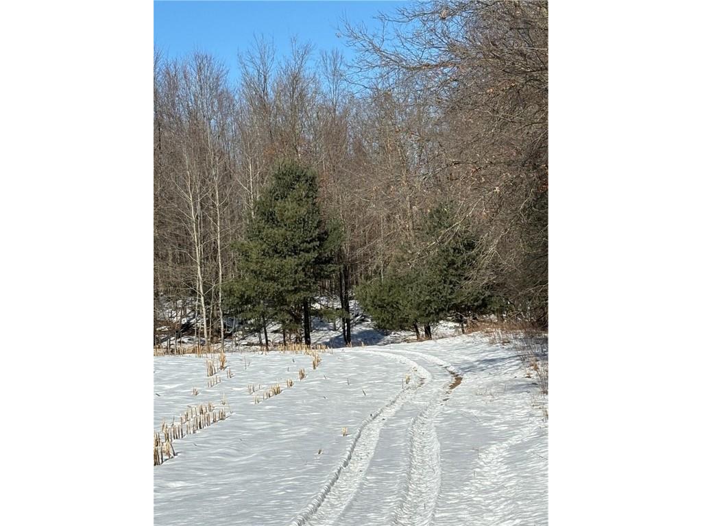 10470 W Walkers Road Humbird WI 54746 1597912 image16