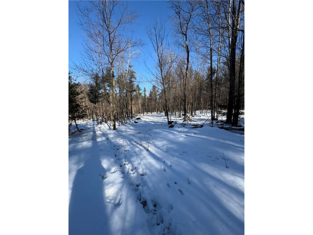 10470 W Walkers Road Humbird WI 54746 1597912 image18