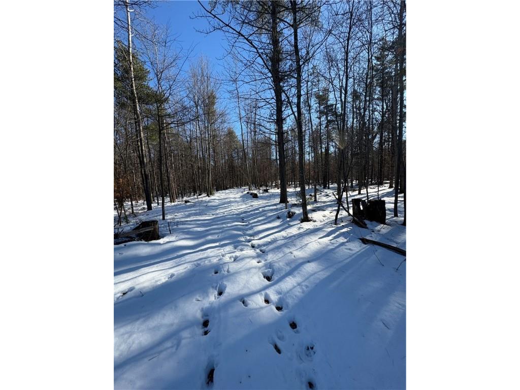 10470 W Walkers Road Humbird WI 54746 1597912 image19