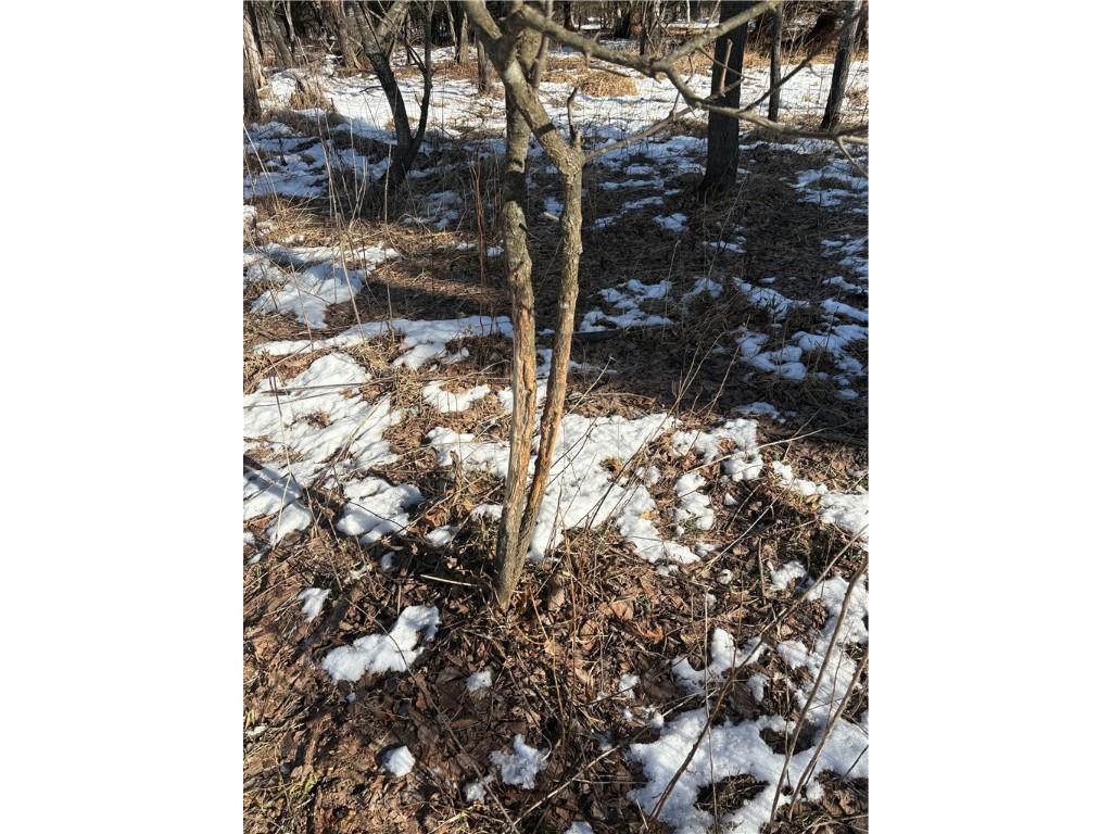 10470 W Walkers Road Humbird WI 54746 1597912 image5