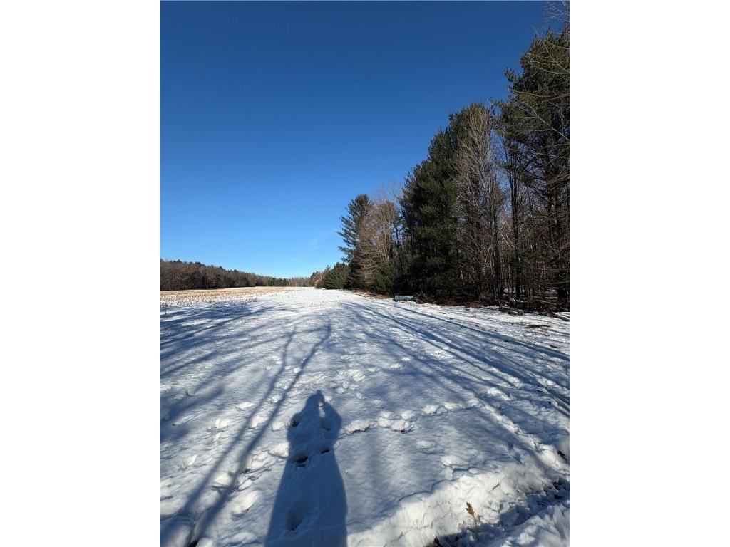 10470 W Walkers Road Humbird WI 54746 1597912 image9