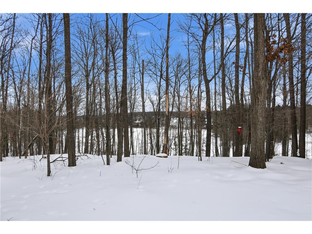 10471 N Scarlet Tanager Lane Hayward WI 54843 - Lovejoy Lake 1598164 image39