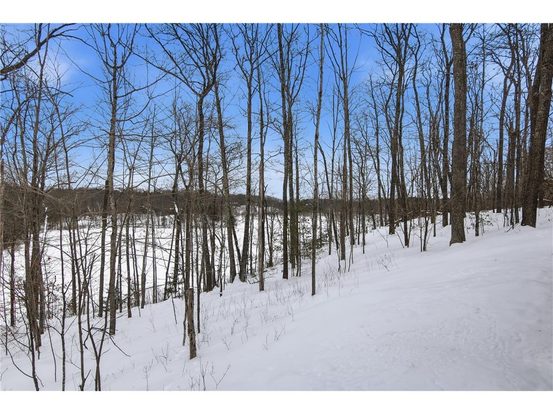 10471 N Scarlet Tanager Lane Hayward WI 54843 - Lovejoy Lake 1598164 image42