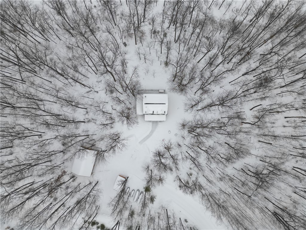 10471 N Scarlet Tanager Lane Hayward WI 54843 - Lovejoy Lake 1598164 image46