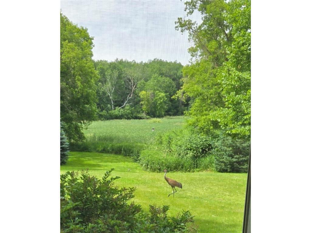 1048 85th Avenue Amery WI 54001 1596565 image46