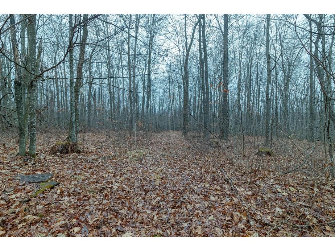 10646 W Capital Road Thorp WI 54771 - Robinson 1590507 image26