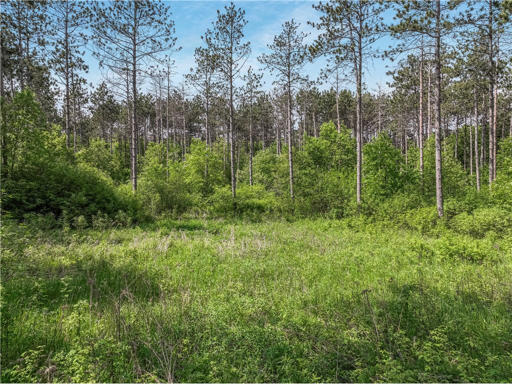 107/108 11 3/8 Avenue Cameron WI 54822 - Prairie 1588564 image4