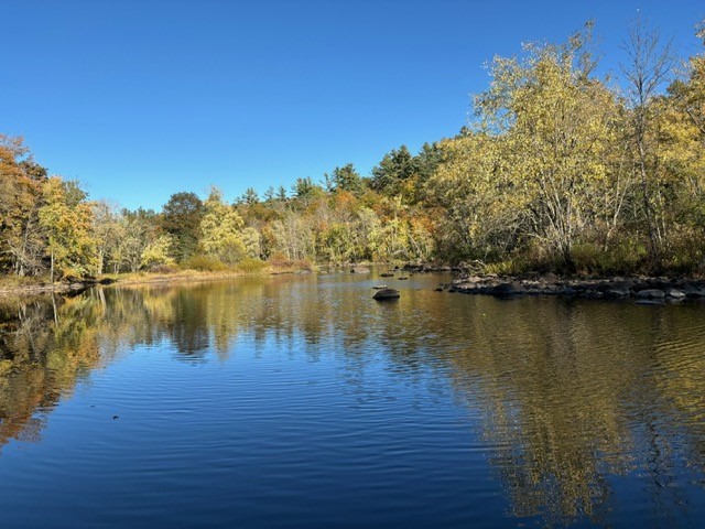 10781N Chippewa River Road Hayward WI 54843 - Chippewa River 1593992 image10