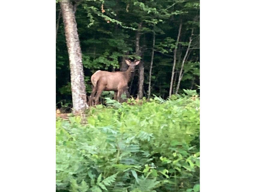 10781N Chippewa River Road Hayward WI 54843 - Chippewa River 1593992 image20