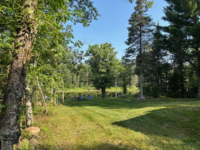 10781N Chippewa River Road Hayward WI 54843 - Chippewa River 1593992 image6