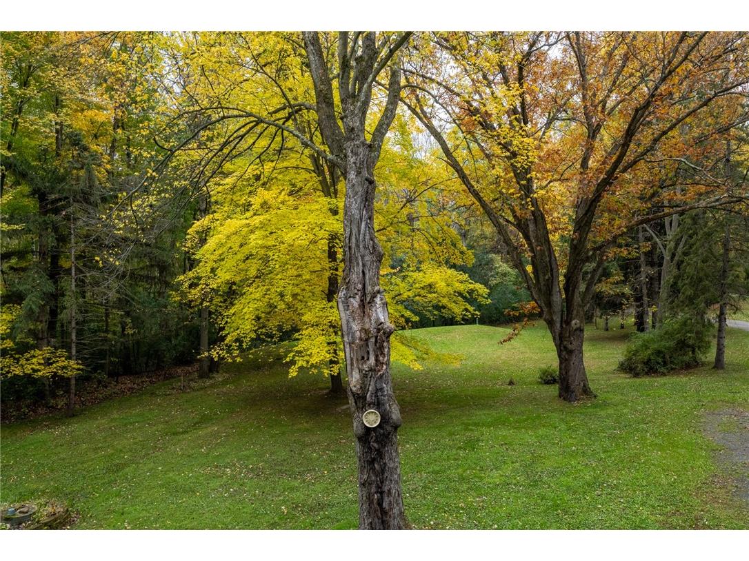 1089 65th Avenue Amery WI 54001 1596787 image34