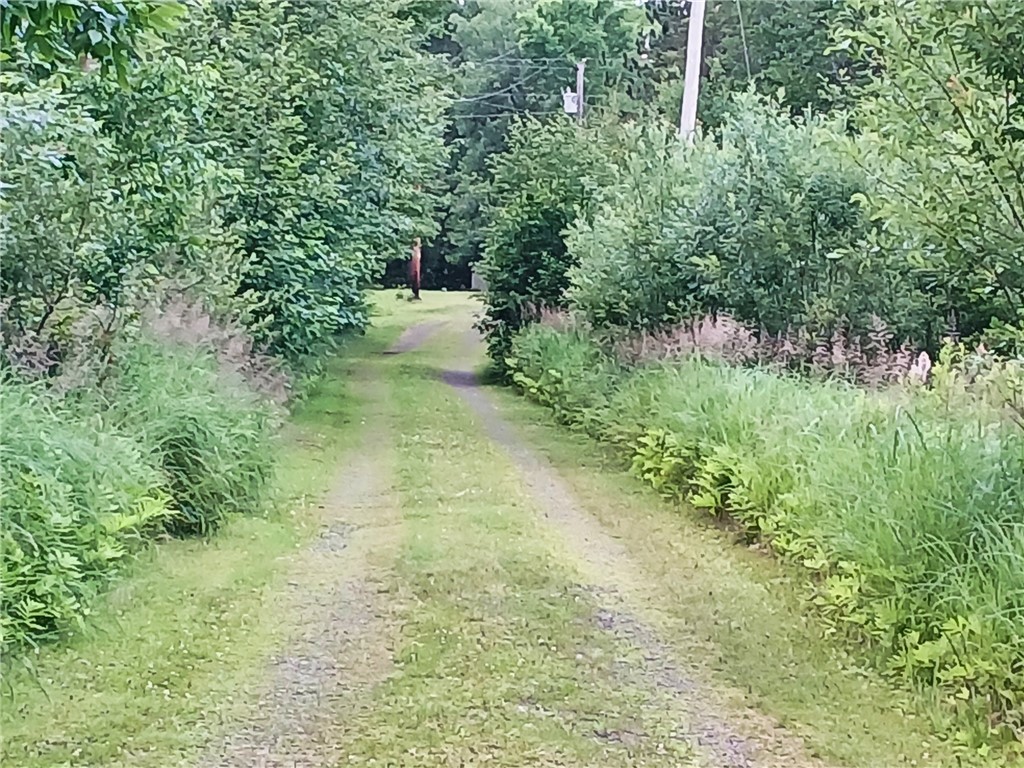 10922 S Stone Road Solon Springs WI 54873 - Upper St Croix 1597433 image22