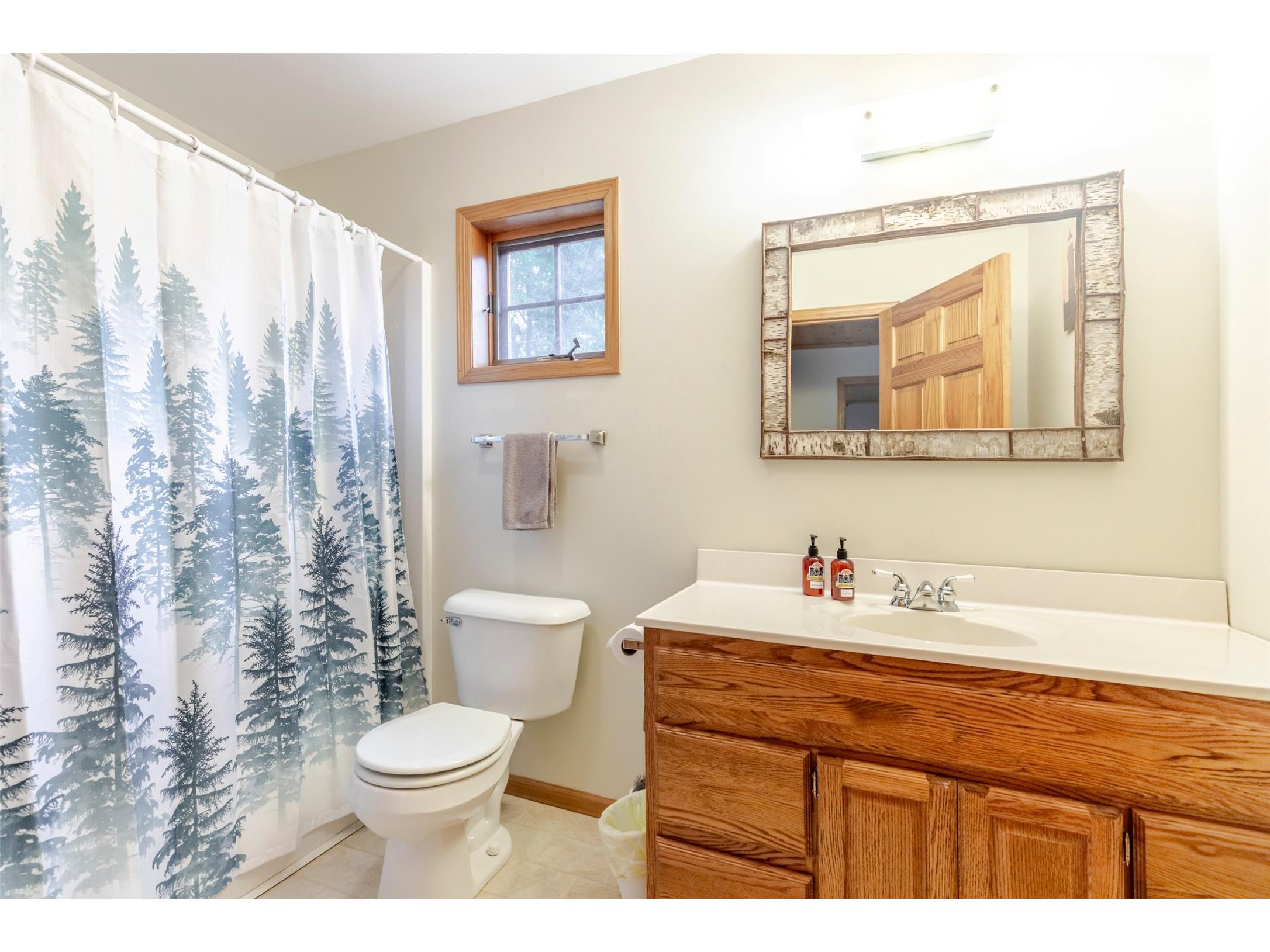 10976 W Crane Lane Hayward WI 54843 - Tiger Cat 1603329 image10