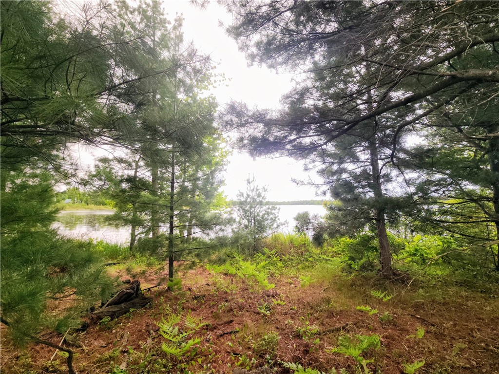 10B 1 1/14 Street Turtle Lake WI 54889 - Loon 1592173 image1