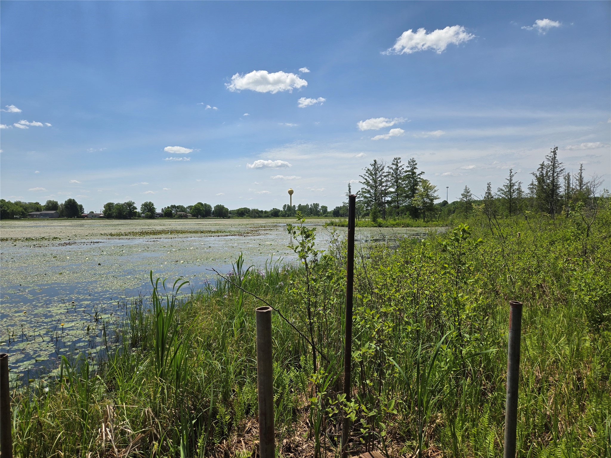 110 90th Ave Clayton WI 54004 - Camelia 1600343 image11
