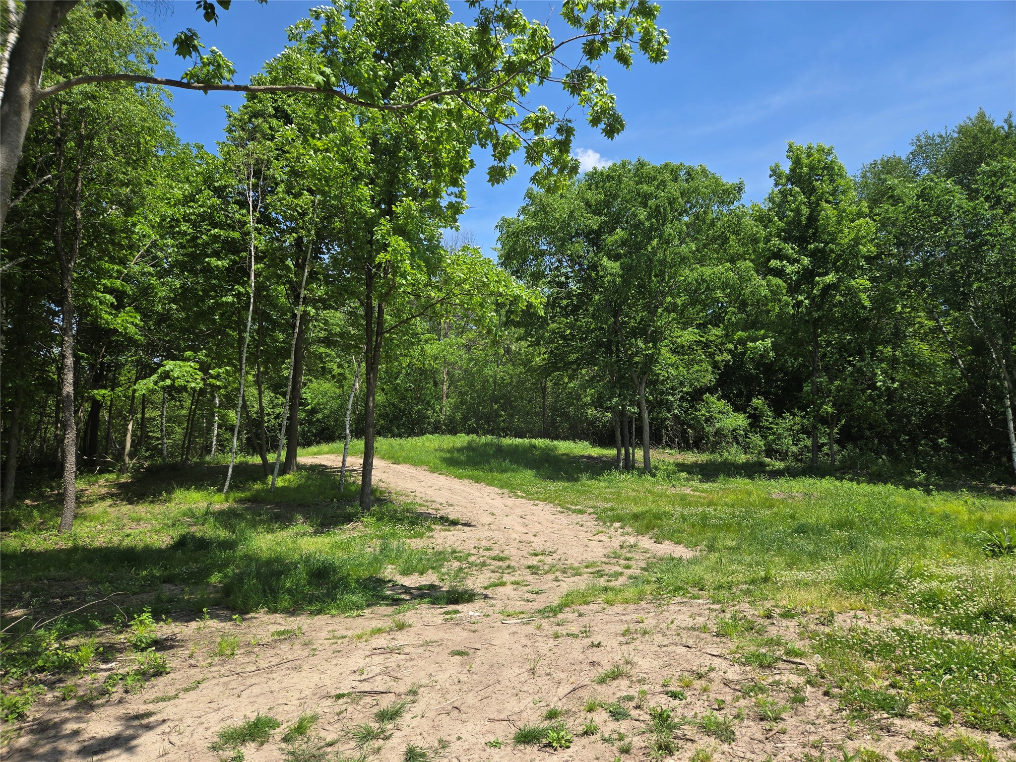 110 90th Ave Clayton WI 54004 - Camelia 1600343 image4