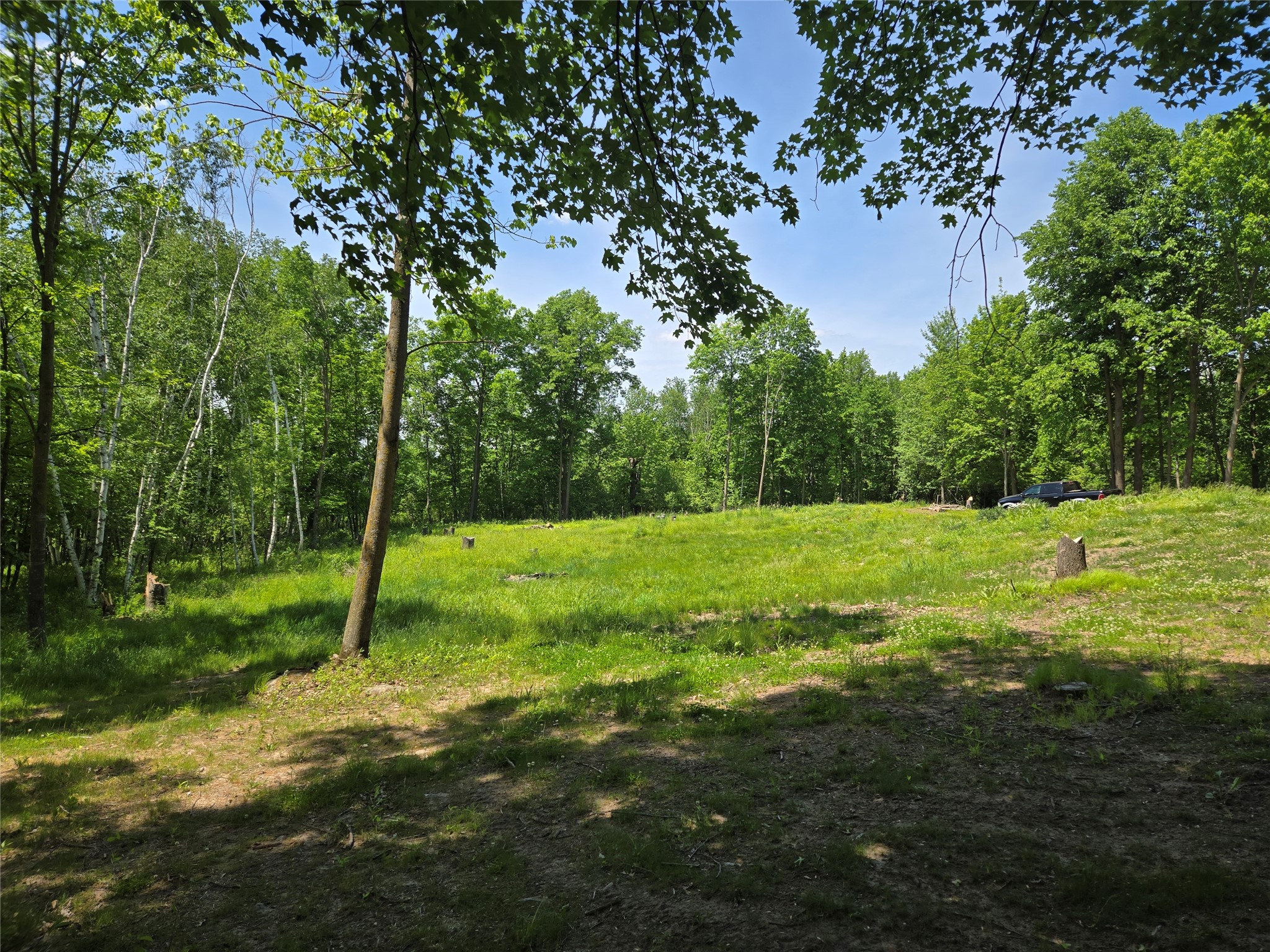 110 90th Ave Clayton WI 54004 - Camelia 1600343 image6